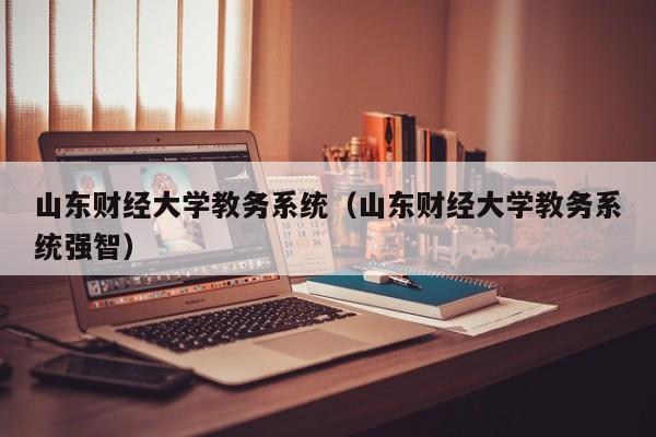 山东财经大学教务系统（山东财经大学教务系统强智）