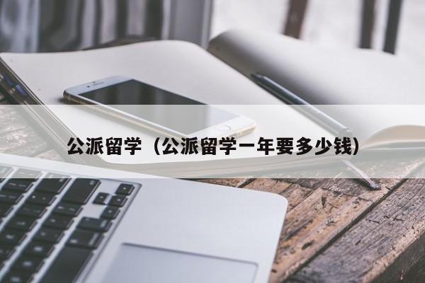 公派留学（公派留学一年要多少钱）