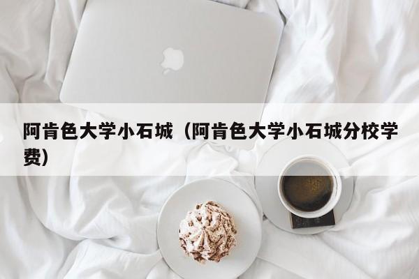 阿肯色大学小石城（阿肯色大学小石城分校学费）