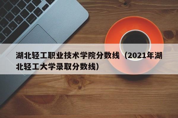 湖北轻工职业技术学院分数线（2021年湖北轻工大学录取分数线）