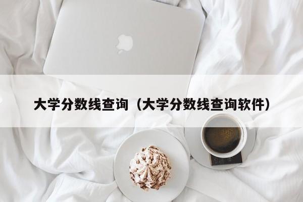 大学分数线查询（大学分数线查询软件）