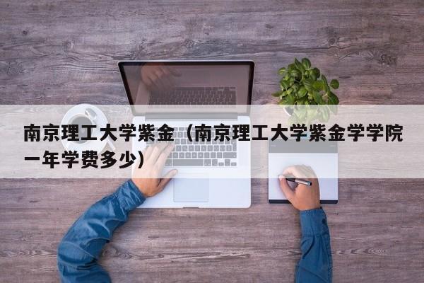 南京理工大学紫金（南京理工大学紫金学学院一年学费多少）
