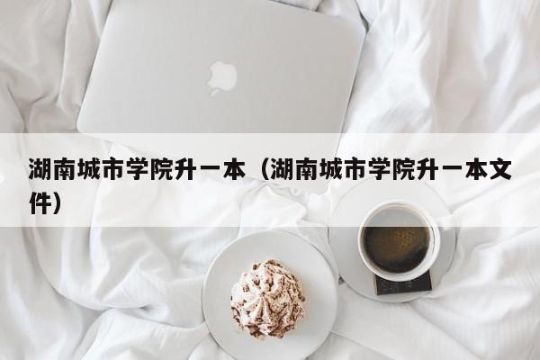湖南城市学院升一本（湖南城市学院升一本文件）