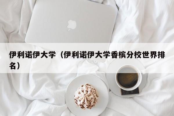 伊利诺伊大学（伊利诺伊大学香槟分校世界排名）