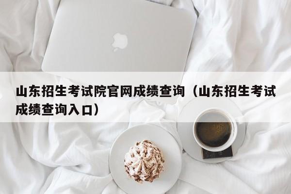 山东招生考试院官网成绩查询（山东招生考试成绩查询入口）