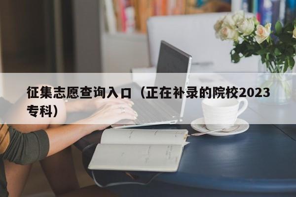 征集志愿查询入口（正在补录的院校2023专科）