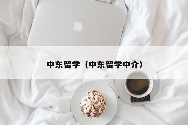 中东留学（中东留学中介）