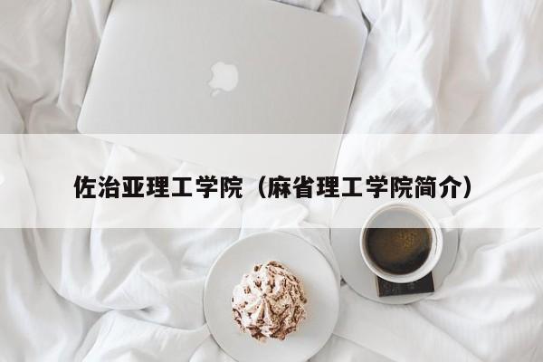 佐治亚理工学院（麻省理工学院简介）