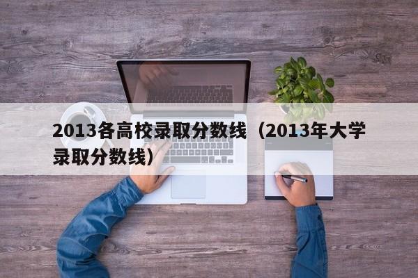 2013各高校录取分数线（2013年大学录取分数线）