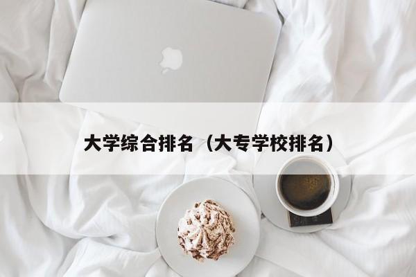 大学综合排名（大专学校排名）