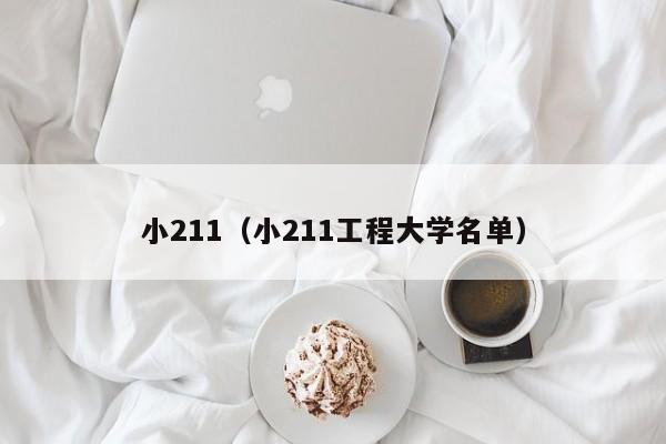 小211（小211工程大学名单）