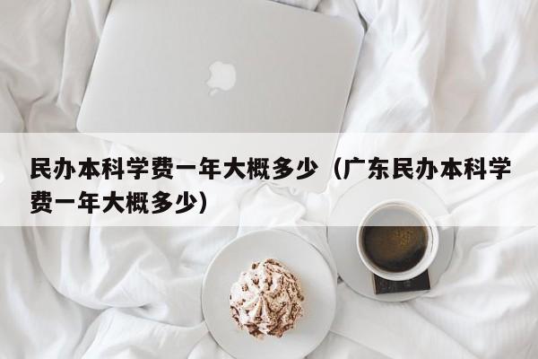 民办本科学费一年大概多少（广东民办本科学费一年大概多少）