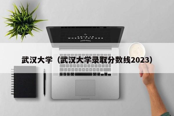 武汉大学（武汉大学录取分数线2023）