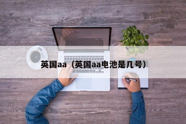 英国aa（英国aa电池是几号）