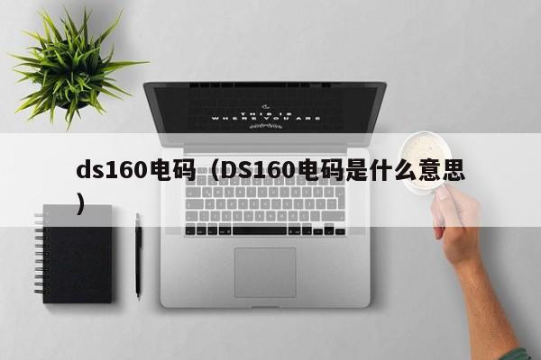 ds160电码（DS160电码是什么意思）