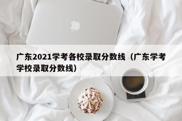 广东2021学考各校录取分数线（广东学考学校录取分数线）