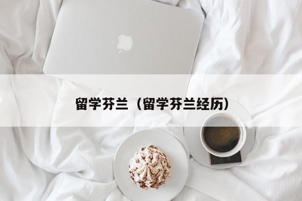 留学芬兰（留学芬兰经历）