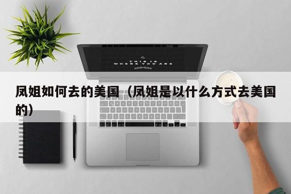 凤姐如何去的美国（凤姐是以什么方式去美国的）