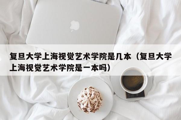 复旦大学上海视觉艺术学院是几本（复旦大学上海视觉艺术学院是一本吗）
