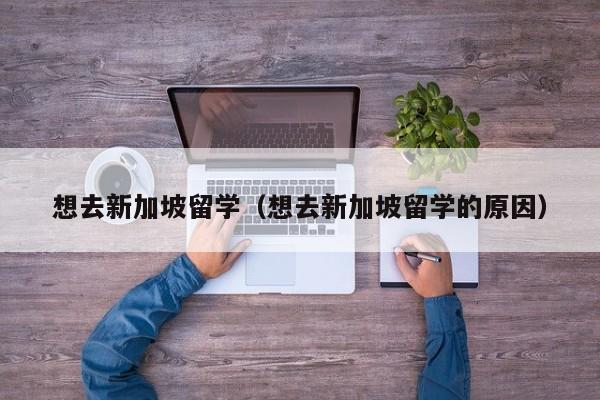 想去新加坡留学（想去新加坡留学的原因）