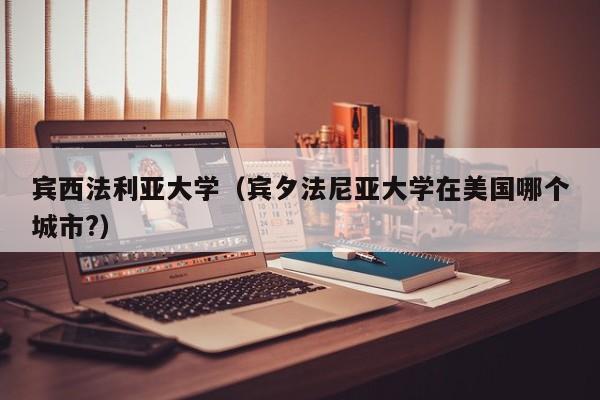 宾西法利亚大学（宾夕法尼亚大学在美国哪个城市?）