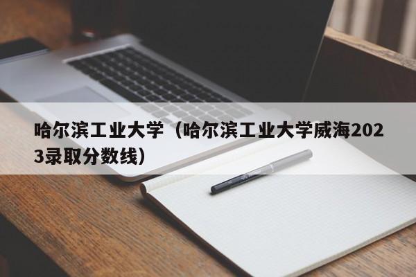 哈尔滨工业大学（哈尔滨工业大学威海2023录取分数线）