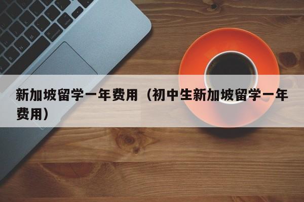 新加坡留学一年费用（初中生新加坡留学一年费用）