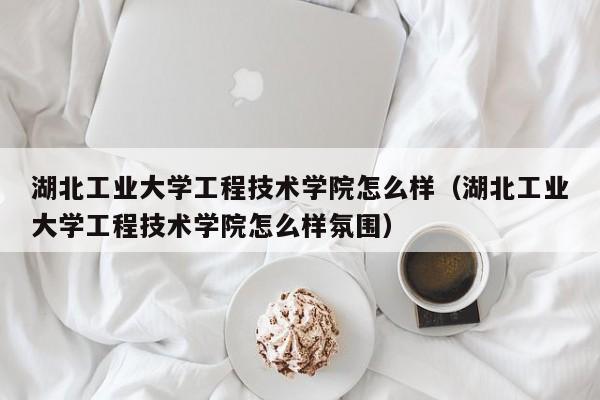 湖北工业大学工程技术学院怎么样（湖北工业大学工程技术学院怎么样氛围）