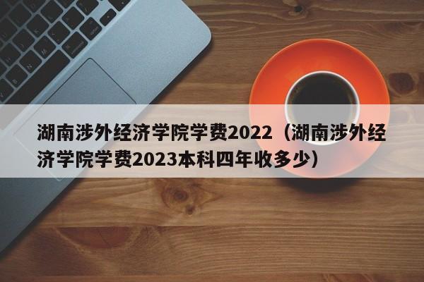 湖南涉外经济学院学费2022（湖南涉外经济学院学费2023本科四年收多少）