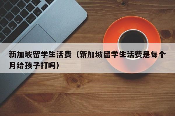 新加坡留学生活费（新加坡留学生活费是每个月给孩子打吗）