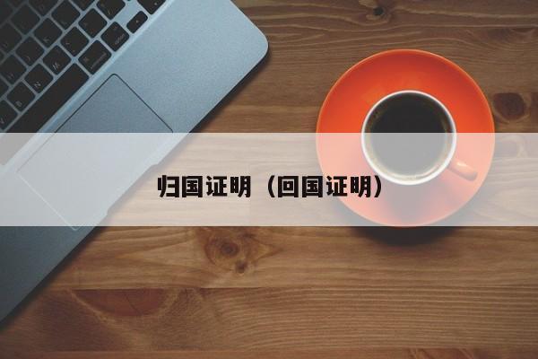 归国证明（回国证明）