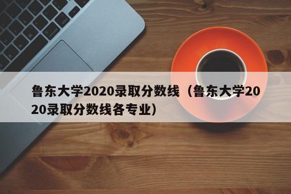 鲁东大学2020录取分数线（鲁东大学2020录取分数线各专业）