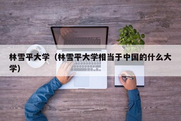 林雪平大学（林雪平大学相当于中国的什么大学）