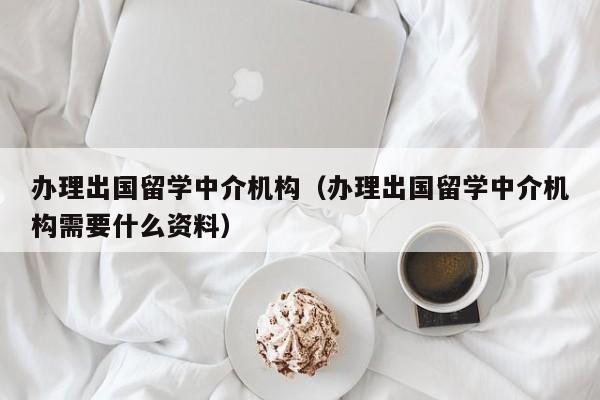 办理出国留学中介机构（办理出国留学中介机构需要什么资料）